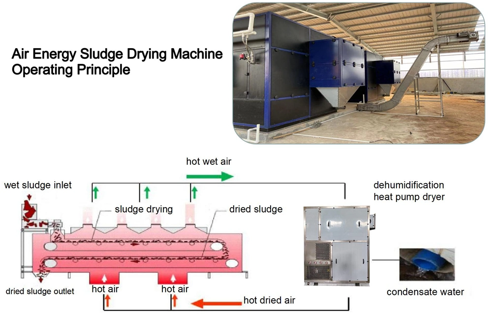 Automatic Sludge Drying Machine Heat Pump Dryer Machine for Farm Slurry Drying